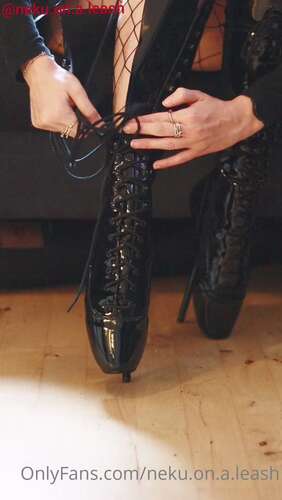 Neku.On.A.Leash – 06 10 2021 2238082638 – I Tried Filming This In A New Way And Overall I Really Really Like It The Only Problem I 1920p - Cover