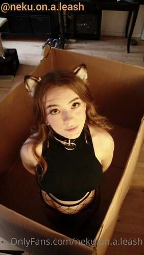 Neku.On.A.Leash – 10 10 2021 2238094226 – Would You Allow Me To Live In A Box In Your Home 1920p - Cover