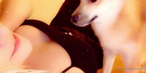 Nikkieliot – 01 09 2020 811985355 – Oaklee Is So Adorable Goodnight 624p - Cover