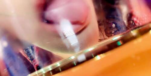 Nikkieliot – 04 10 2019 67354725 – Loving This Concept What Do You Think 624p - Cover