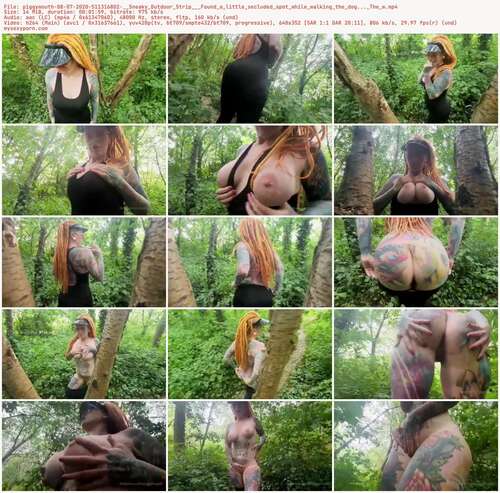 Piggymouth - 08 07 2020 511316802 - Sneaky Outdoor Strip Found A Little Secluded Spot While Walking The Dog... The W 352p - Preview