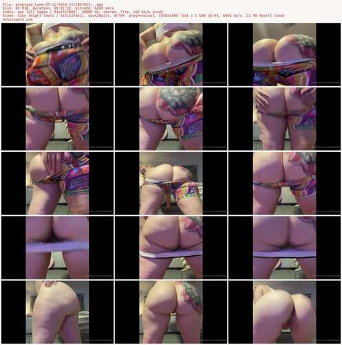 Promised Land - 07 11 2020 1212857851 1080p - Preview