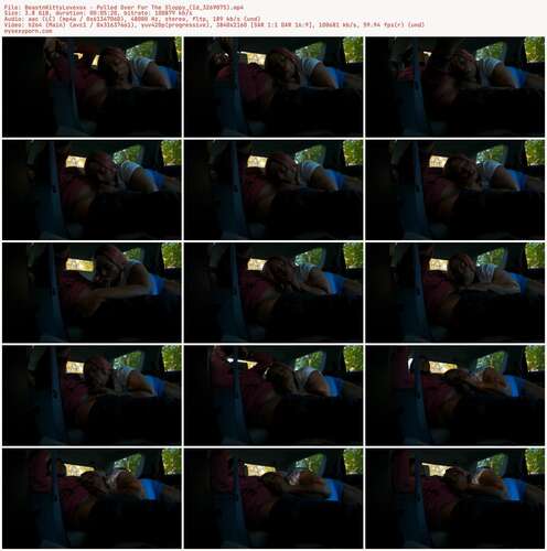 BeastnKittyLovexox - Pulled Over For The Sloppy (Id 3269075) 2160p - Preview
