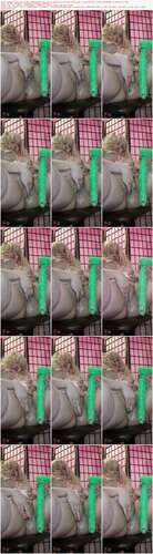 Evapilotravyn - 18 04 2021 2086113910 - I M Sorry I Giggled At The End Also Guys I Have To Say I Have Had Maybe 2 Internal Or 2336p - Preview