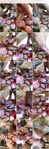 Rebeccamoreuk - 08 09 2018 12874435 - Same Shoot But A Lot Longer Clip... Sophie Is One Of My Absolute Favourites Brand New Vide 1920p - Preview