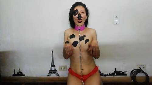 _Arlequin_ – I AM A CUTE PUPPY WITH A COLLAR TO TRAINING 1080p - Cover