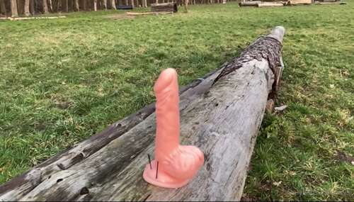 Reell – 12 04 2022 2422573989 – Sniper Test Cockdummy 888p - Cover