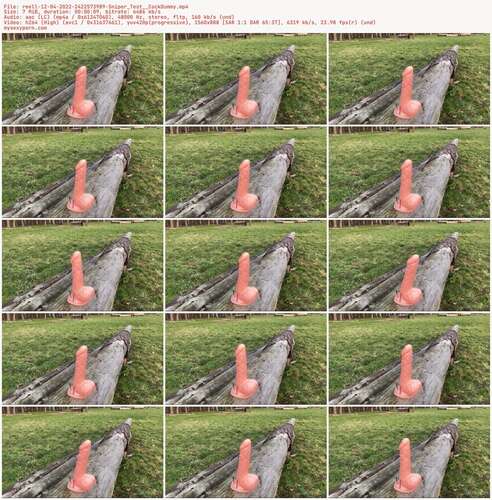 Reell - 12 04 2022 2422573989 - Sniper Test Cockdummy 888p - Preview