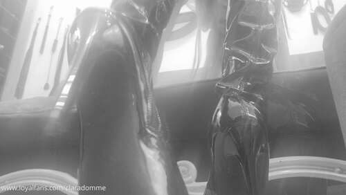 Claradomme – Good Night, My Harem! 1080p - Cover