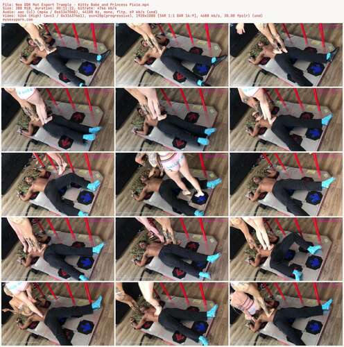 Palace F Productions - New Ddr Mat Expert Tr&Le - Kitty Babe And Princess Pixie 1080p - Preview