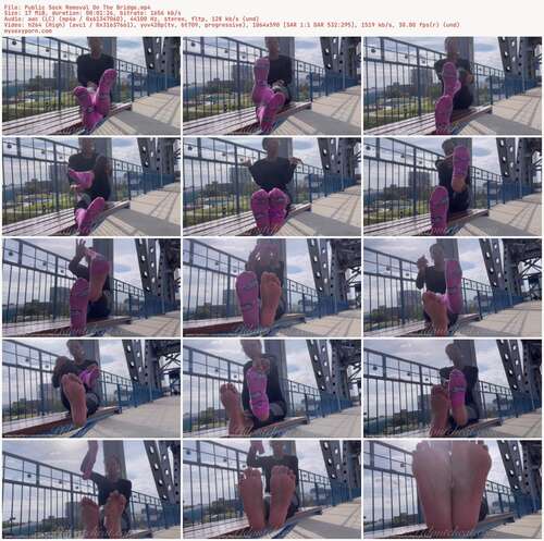 Your Highness Of Pfdc - Public Sock Removal On The Bridge 590p - Preview