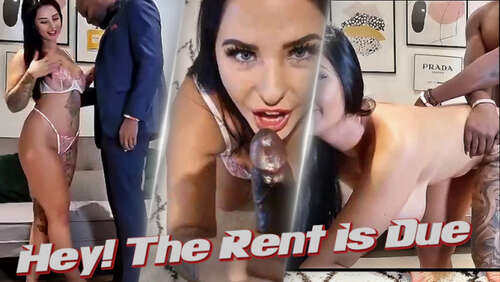 shadowdimitri – Hey The Rent Is Due 1080p - Cover