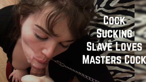 Lexxiblakk – Cock Sucking Slave loves Masters Cock 1080p - Cover
