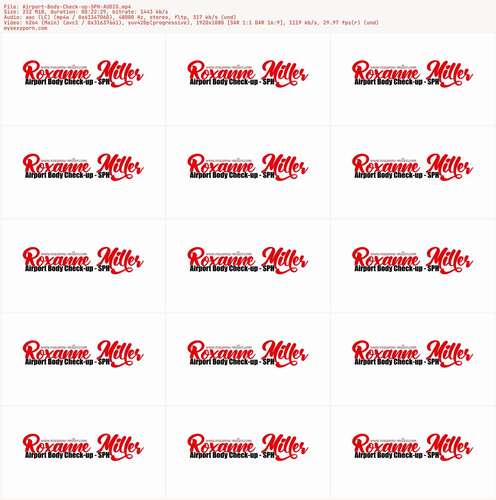 RoxanneMiller - Airport Body Check up SPH AUDIO 1080p - Preview