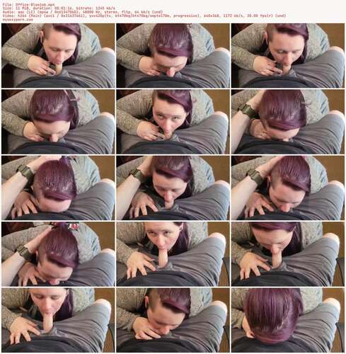 VioletWanderer - Office Blowjob 368p - Preview