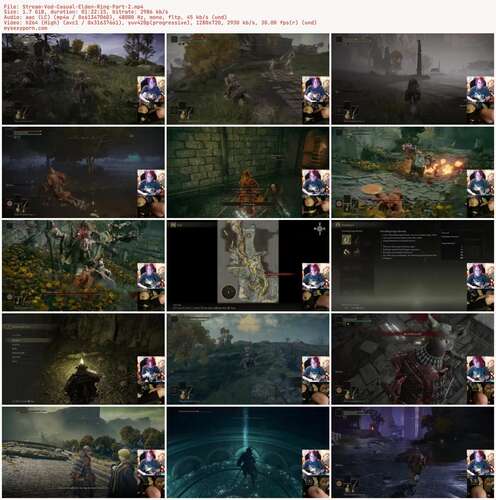 secretnoel - Stream Vod Casual Elden Ring Part 2 720p - Preview