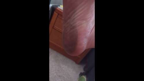 VioletWanderer – Getting Dirty Feet 1920p - Cover