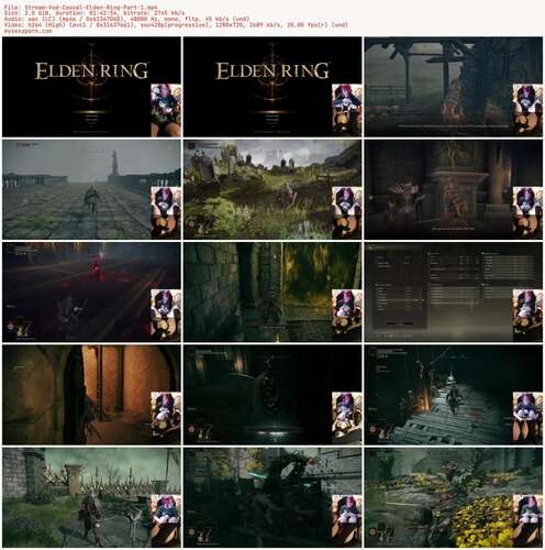 secretnoel - Stream Vod Casual Elden Ring Part 1 720p - Preview