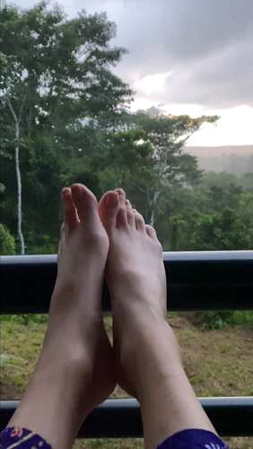 QueenMotherSoles – Wiggle Feet In Rainforest 1280p - Cover
