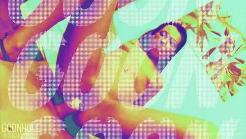 The Goonhole – Life Wrecking Goon Addiction Mindwash – Zantosa 1080p - Cover