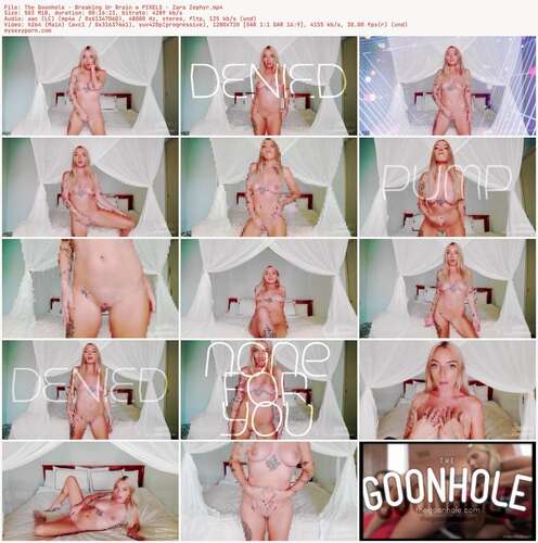 The Goonhole - Breaking Ur Brain W PIXELS - Zara Zephyr 720p - Preview