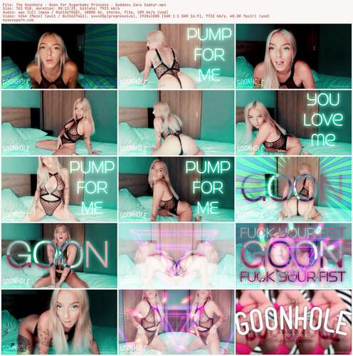 The Goonhole - Goon For Sugarbaby Princess - Goddess Zara Zephyr 1080p - Preview
