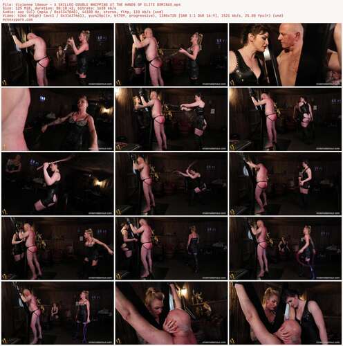 Vivienne lAmour - A SKILLED DOUBLE WHIPPING AT THE HANDS OF ELITE DOMINAS 720p - Preview