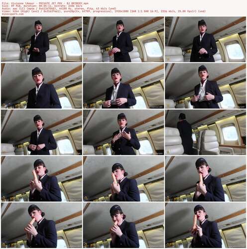 Vivienne lAmour - PRIVATE JET POV - BJ BRIBERY 1080p - Preview