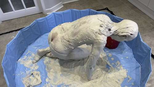 Wamgirlx – Clay And Glitter – Wam Wet And Messy Sploshing 1080p - Cover