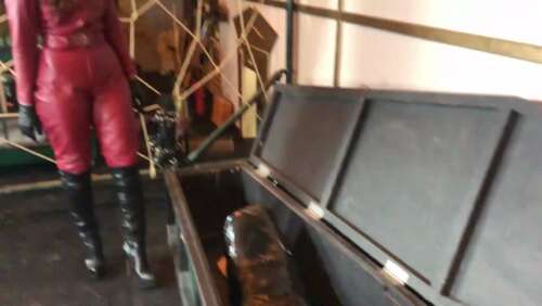 Vivienne lAmour – FROM THE DARK INTO THE WRAP 1080p - Cover