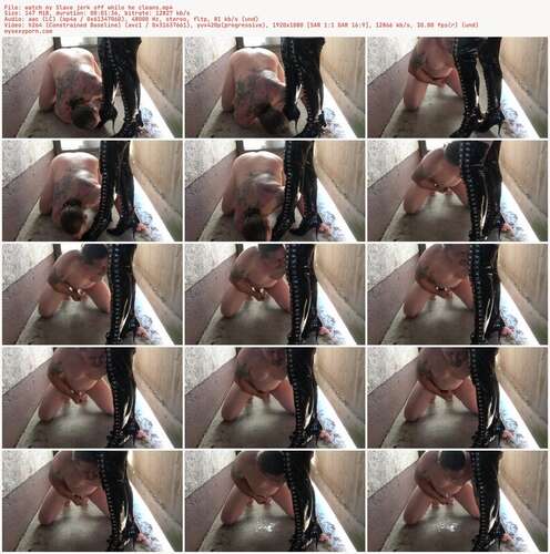 The Dragonlady - Watch My Slave Jerk Off While He Cleans 1080p - Preview