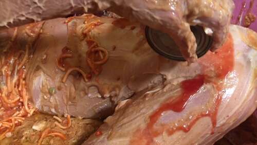 Wamgirlx – Extreme Messy Food! Horrendous!!! 1080p - Cover