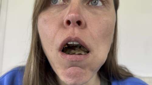 Wamgirlx – Do I Have Something In My Teeth. 2160p - Cover