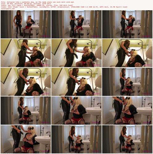 Mistress Stellina Obscura - Collared Like A Pathetic Dog, So The Dumb Sissy Can Suck More Cock 1080p - Preview