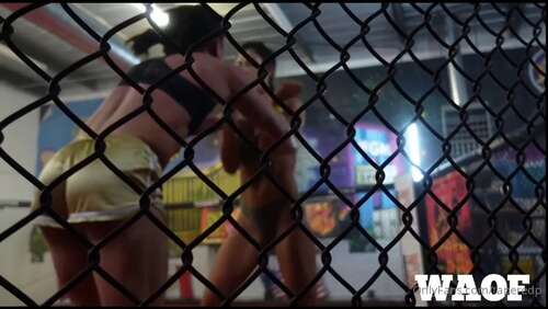 Tapered Physique – Bianca Vs Taperedphysique Match! 540p - Cover