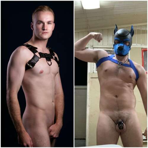 [JustFor.Fans] PupWilde (@PupWilde) - MegaPack